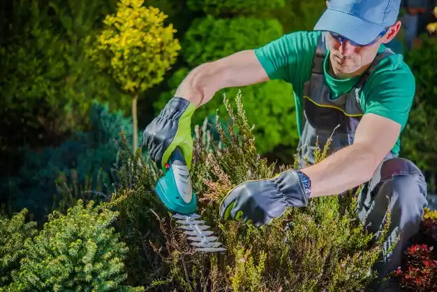landscaping services Leonville